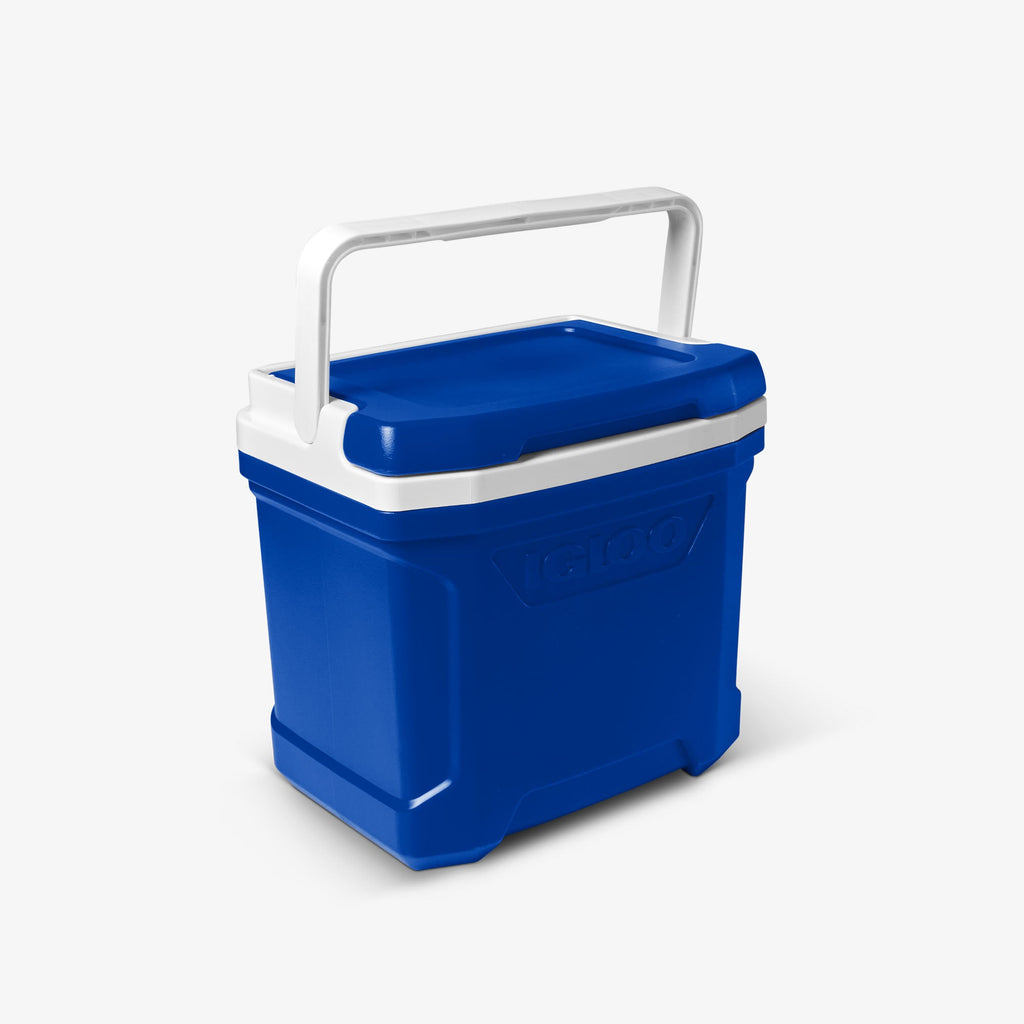 Igloo Profile II 16 Qt Lunch-Size Cooler