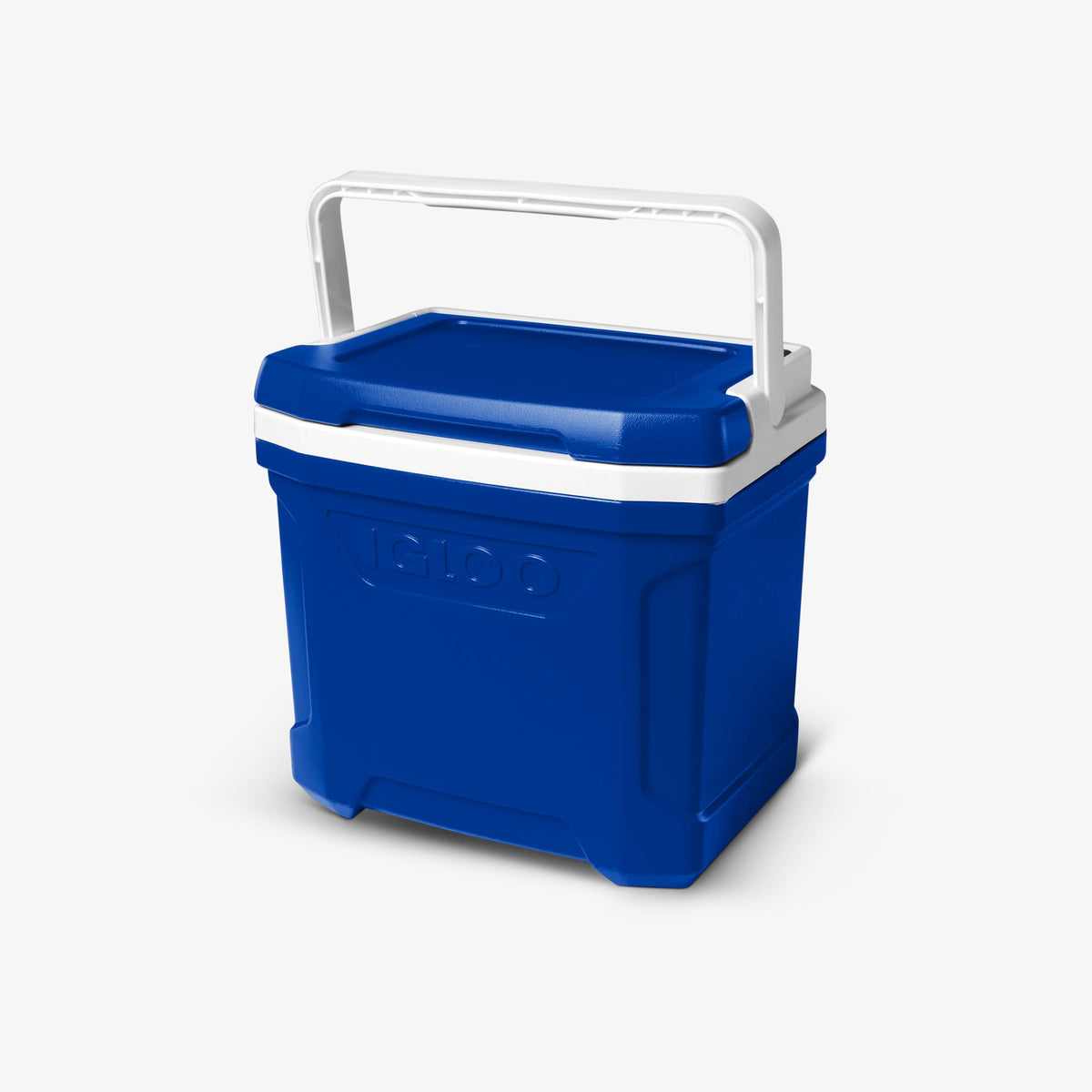 Igloo Profile II 16 Qt Lunch-Size Cooler