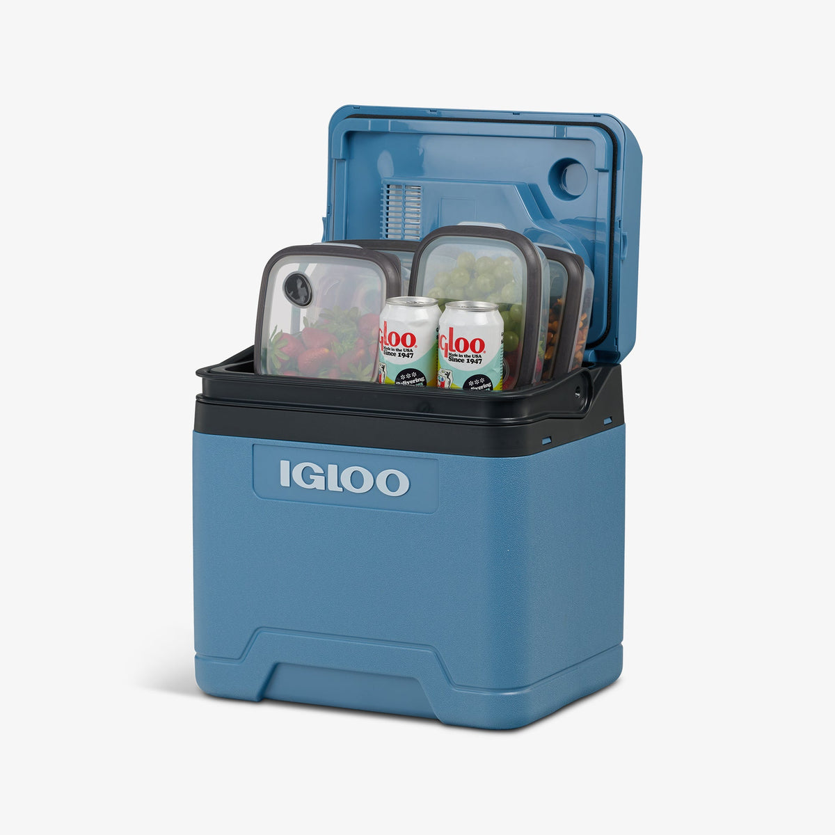 Igloo IE24 Small Thermoelectric Cooler Dual Mode